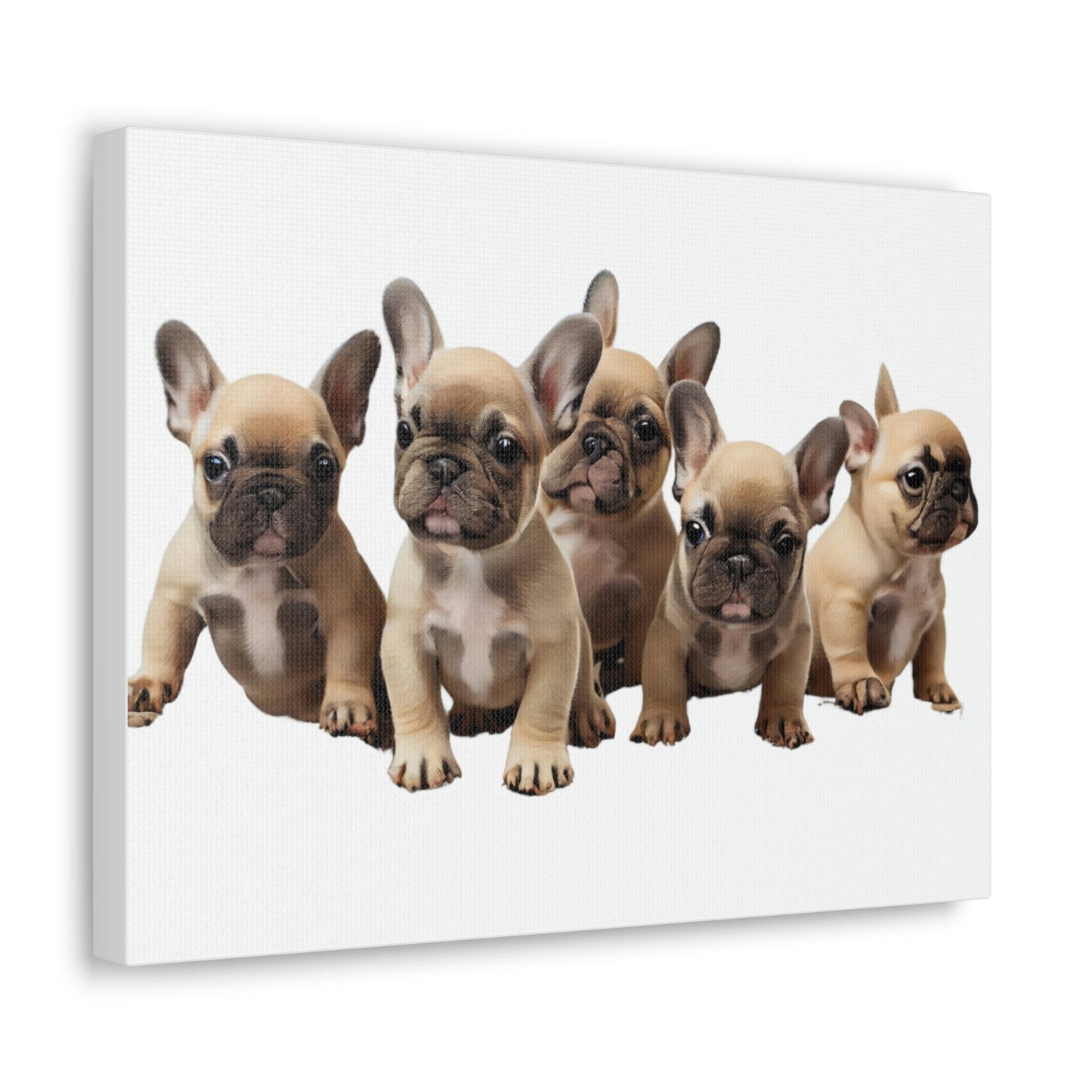 French Bulldog Puppies Canvas, Frenchie, Gift for Dog Lover, Dog People, Dog Mom, New Dog Owner, Pet Lover, Funny Dog Canvas, Dog Dad