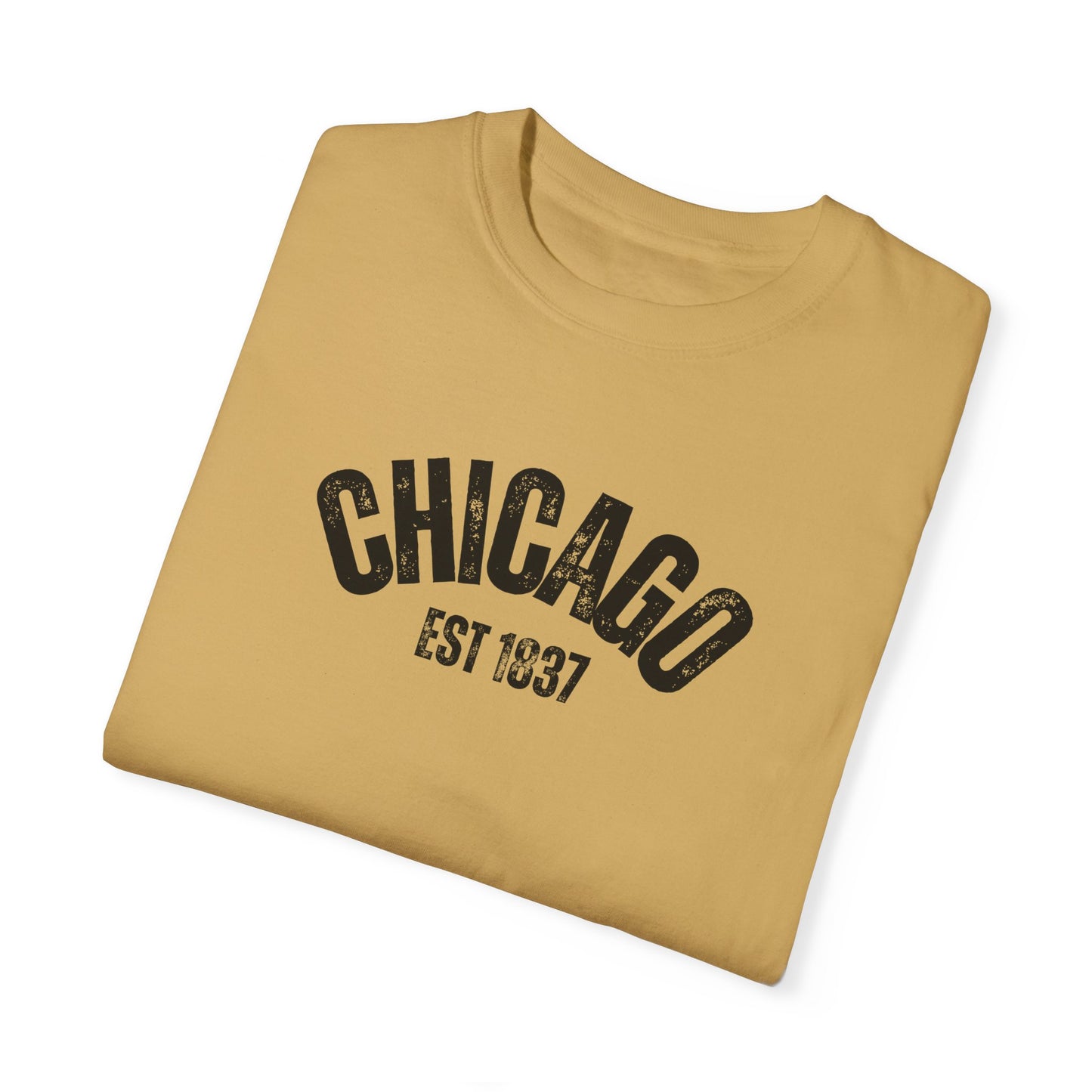 CHICAGO Funky Illustration of the Chicago Skyline on Back Grunge Chicago Logo on Front | Comfort Colors | Unisex Garment-Dyed T-shirt