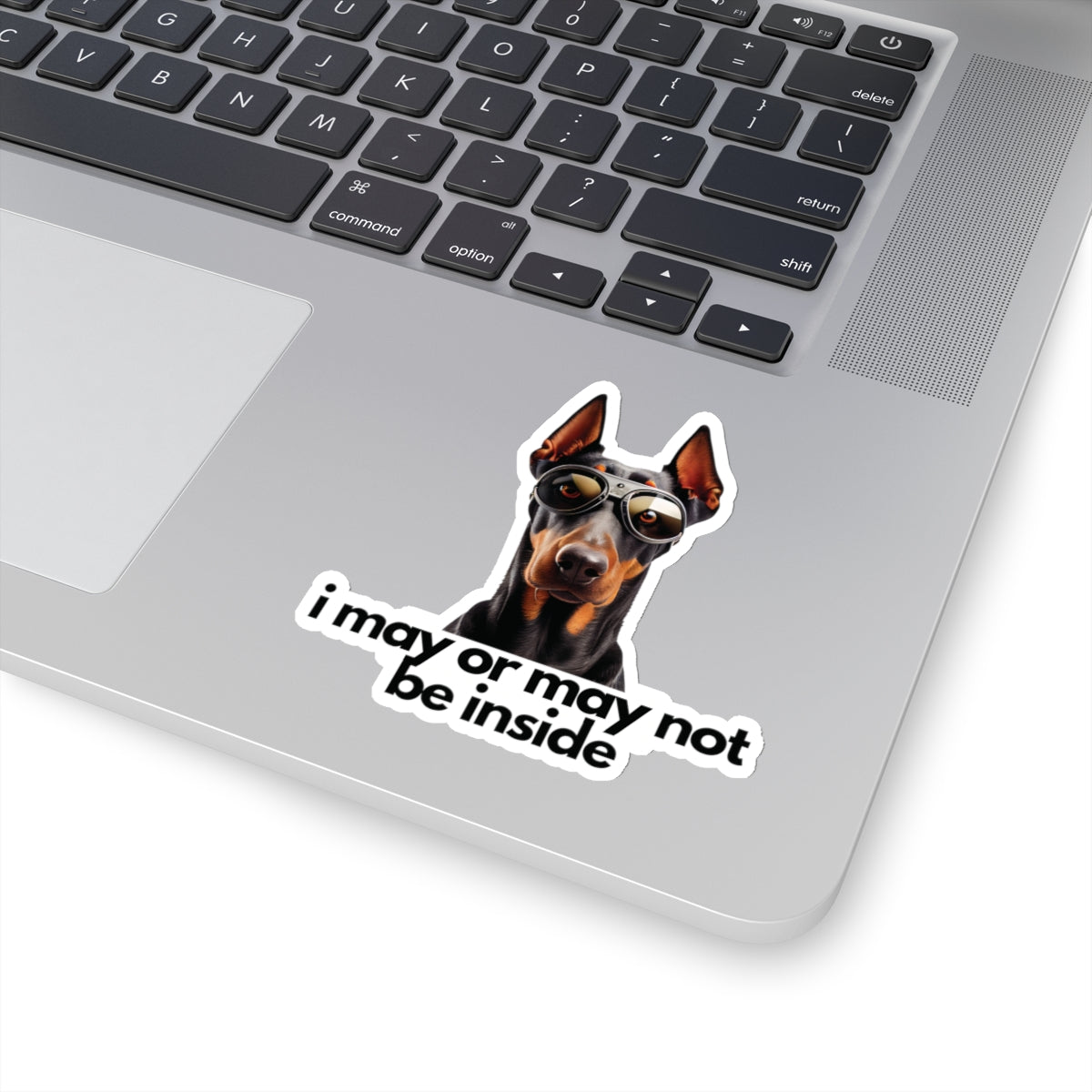 Doberman | i may or may not be inside | Sticker