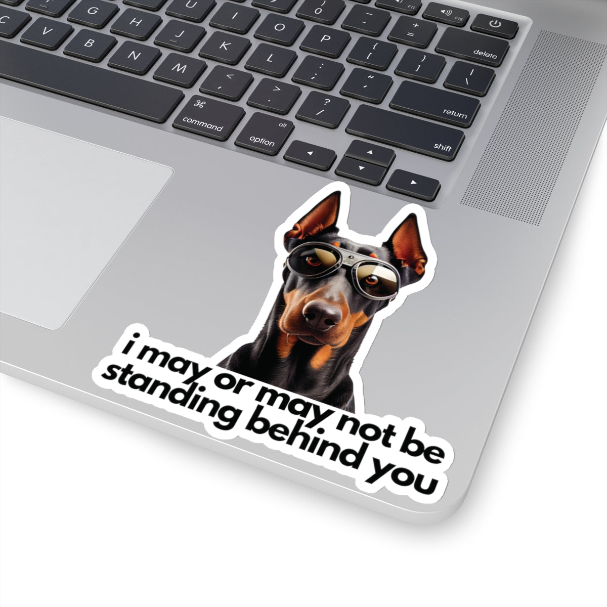 Doberman | "i may or may not be standing behind you" | Sticker