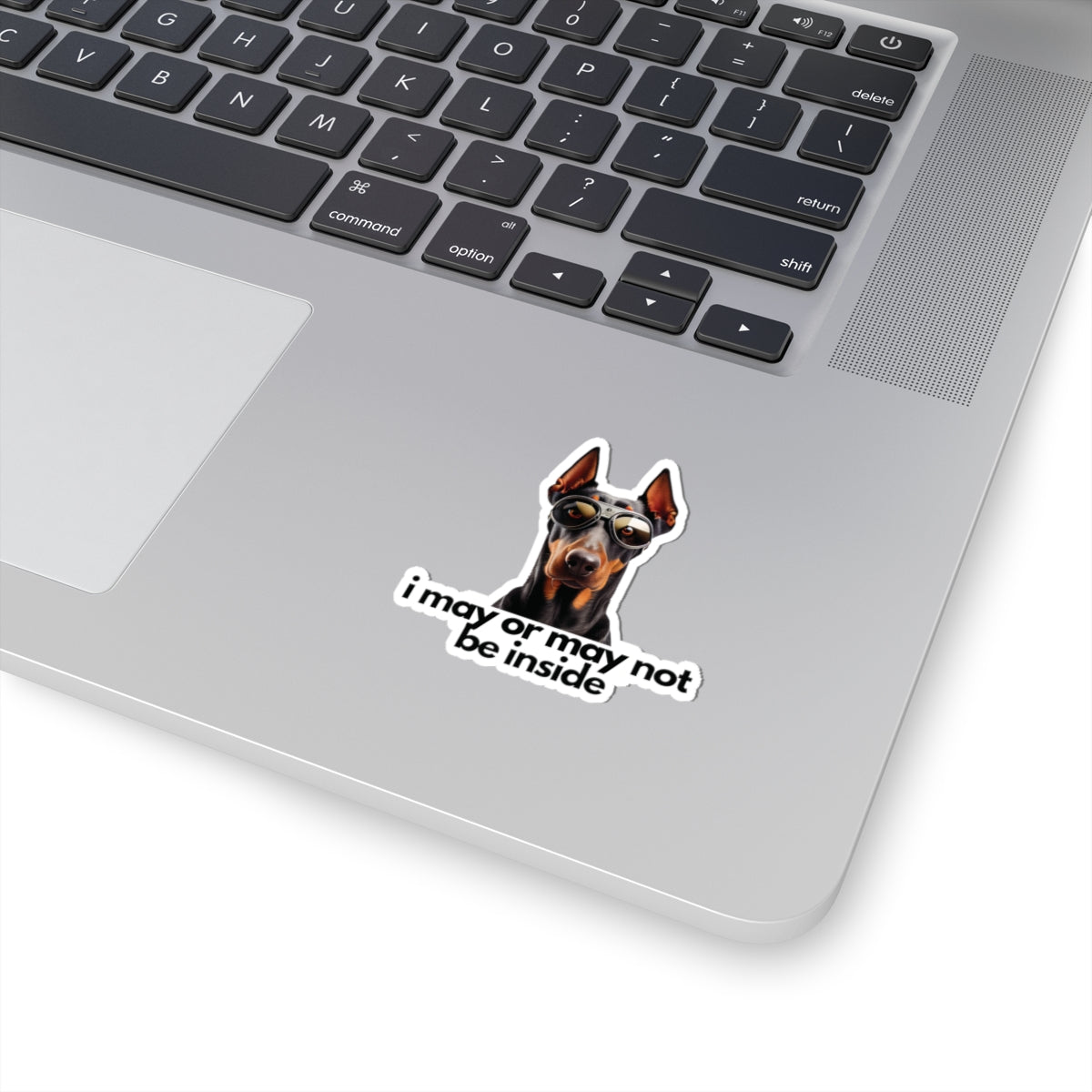 Doberman | i may or may not be inside | Sticker