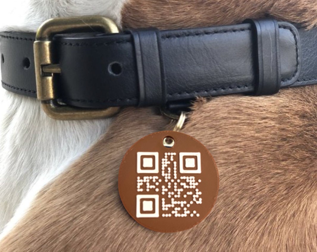 3D Printed Dog Tag with Custom QR Code Simple Strong Durable Plastic Raised QR Code No Service Needed Includes Key Ring to Attach to Collar