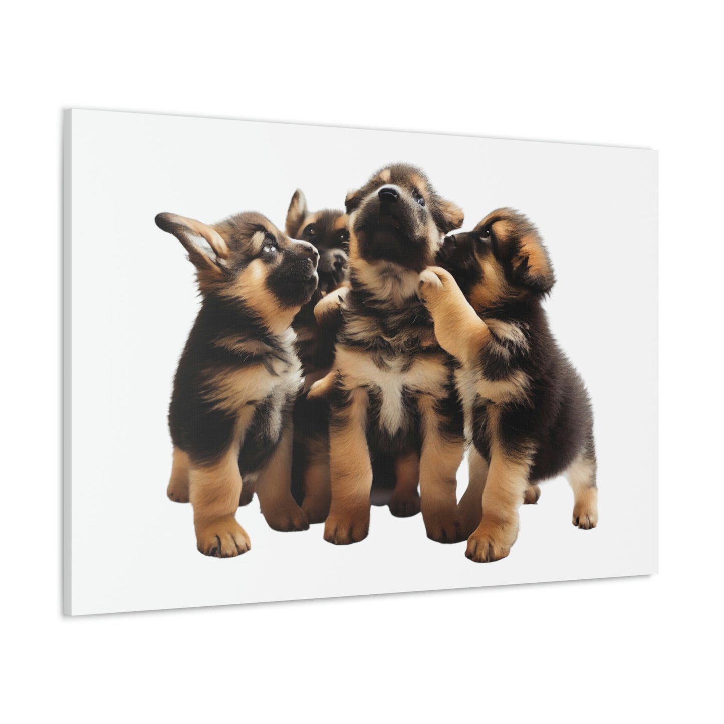 German Shepherd Puppies | Happy and Playing | Canvas Gallery Wraps