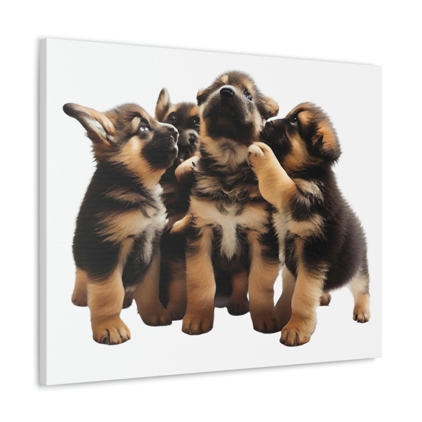 German Shepherd Puppies | Happy and Playing | Canvas Gallery Wraps