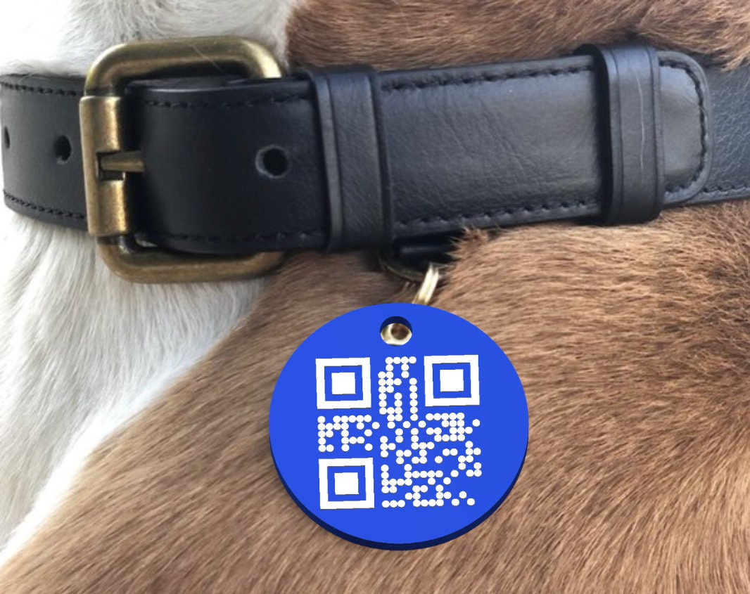 3D Printed Dog Tag with Custom QR Code Simple Strong Durable Plastic Raised QR Code No Service Needed Includes Key Ring to Attach to Collar