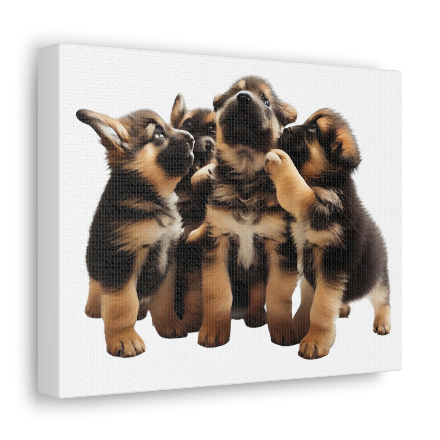 German Shepherd Puppies | Happy and Playing | Canvas Gallery Wraps