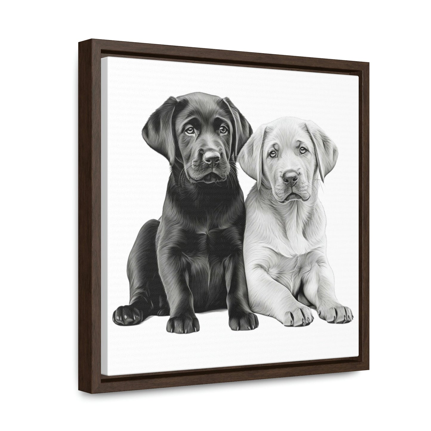 Labradors Black and Yellow Puppies with White Background Framed Canvas