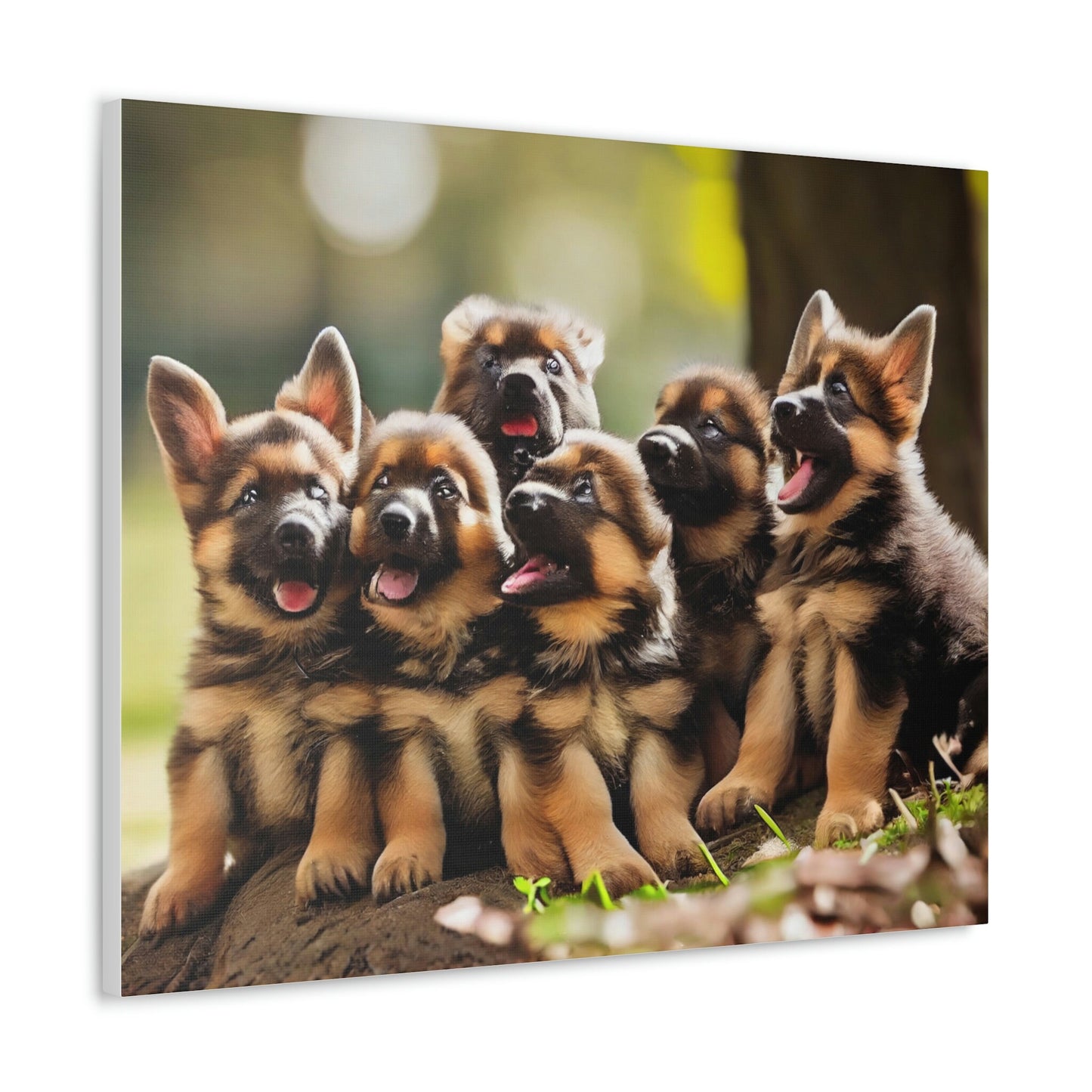 German Shepherd Puppies | In the Park | Canvas Gallery Wraps