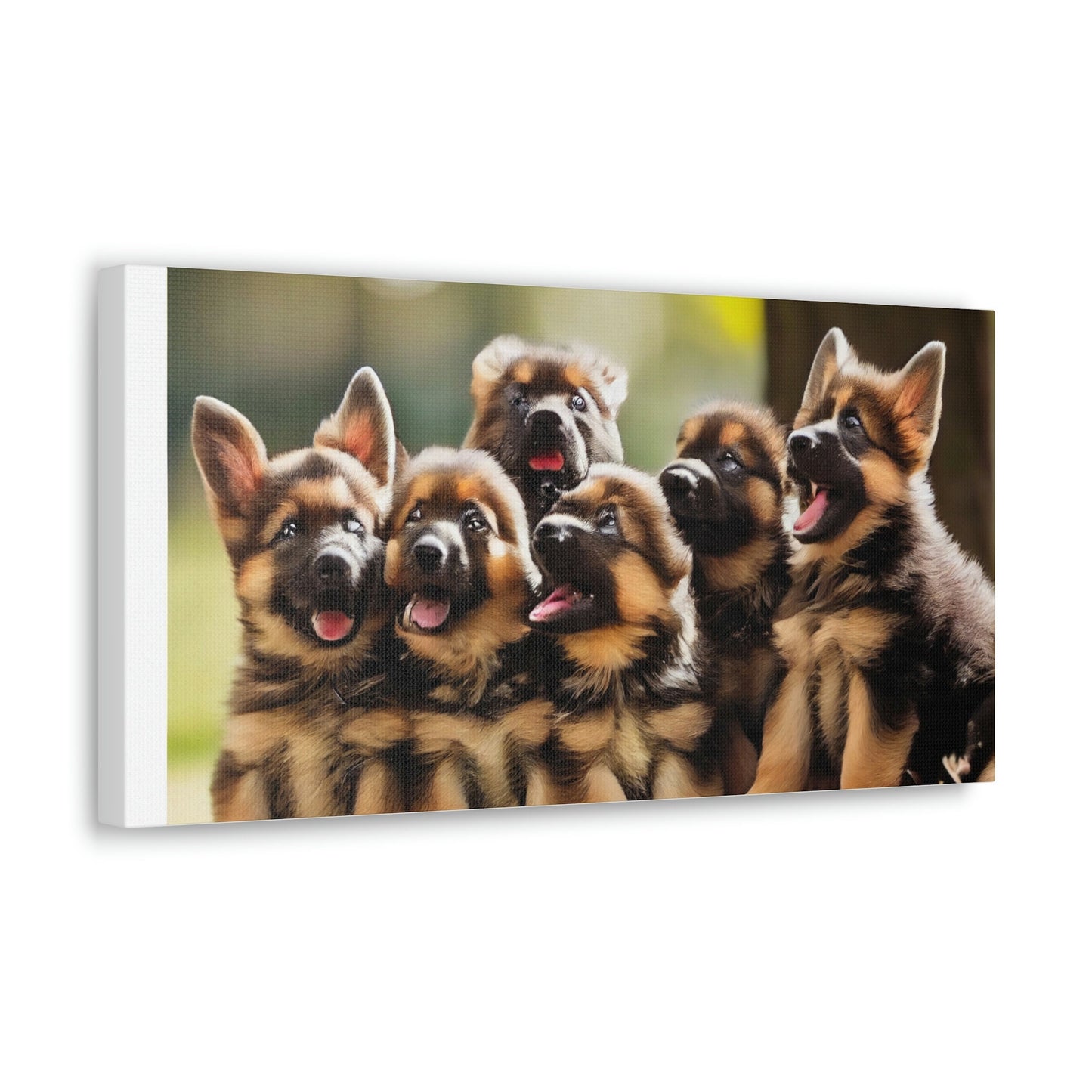 German Shepherd Puppies | In the Park | Canvas Gallery Wraps