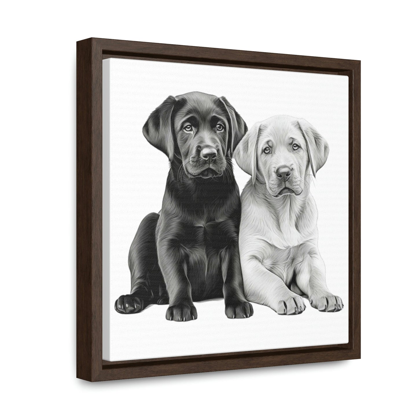 Labradors Black and Yellow Puppies with White Background Framed Canvas