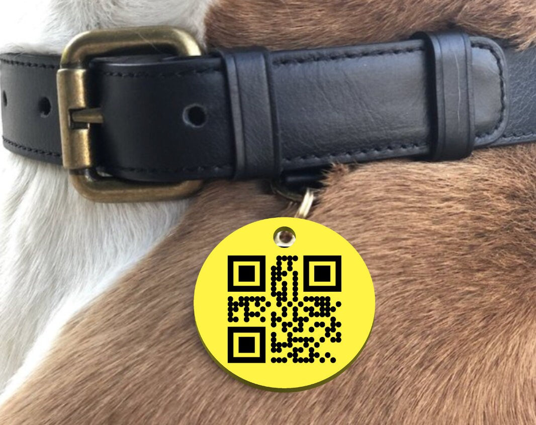 3D Printed Dog Tag with Custom QR Code Simple Strong Durable Plastic Raised QR Code No Service Needed Includes Key Ring to Attach to Collar