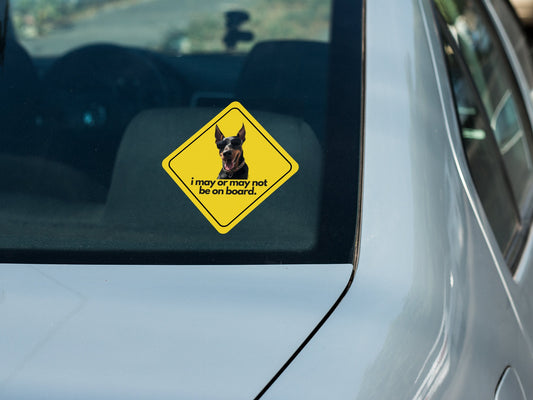 Doberman I "i may or may not be on board" Sticker