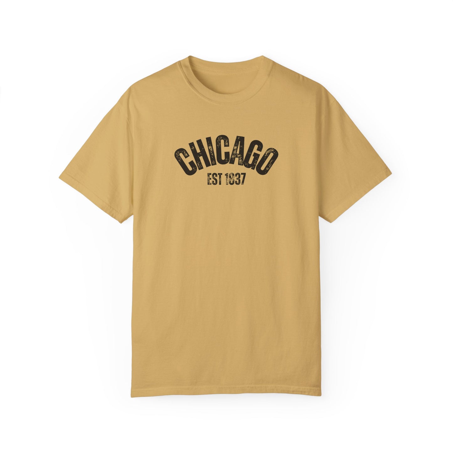 CHICAGO Funky Illustration of the Chicago Skyline on Back Grunge Chicago Logo on Front | Comfort Colors | Unisex Garment-Dyed T-shirt