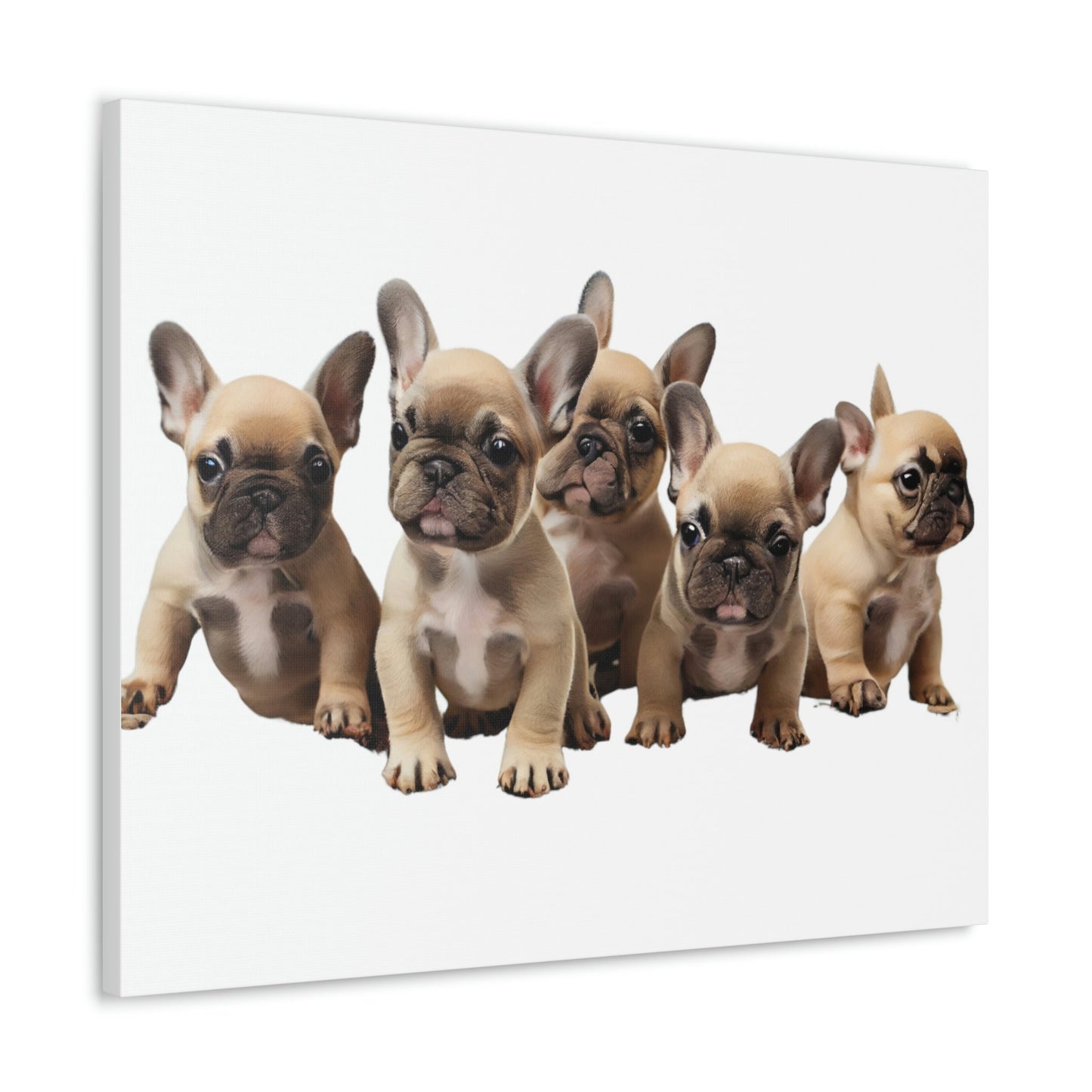 French Bulldog Puppies Canvas, Frenchie, Gift for Dog Lover, Dog People, Dog Mom, New Dog Owner, Pet Lover, Funny Dog Canvas, Dog Dad