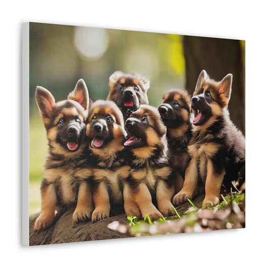 German Shepherd Puppies | In the Park | Canvas Gallery Wraps