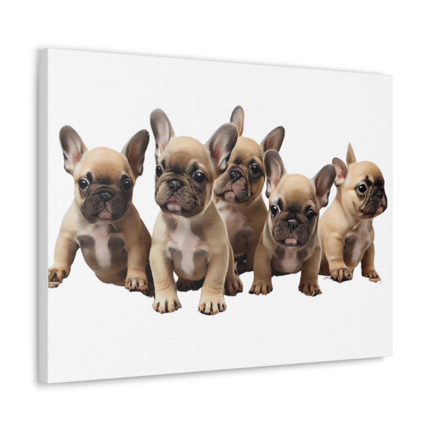 French Bulldog Puppies Canvas, Frenchie, Gift for Dog Lover, Dog People, Dog Mom, New Dog Owner, Pet Lover, Funny Dog Canvas, Dog Dad