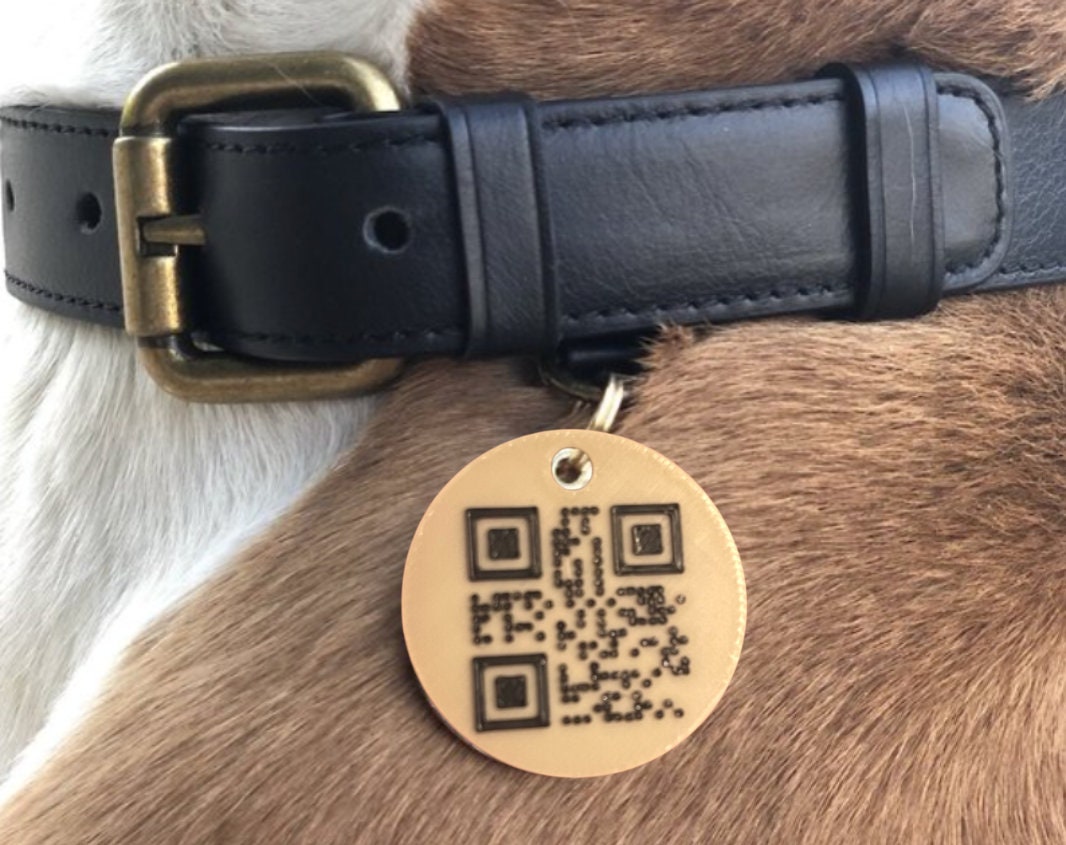 3D Printed Dog Tag with Custom QR Code Simple Strong Durable Plastic Raised QR Code No Service Needed Includes Key Ring to Attach to Collar