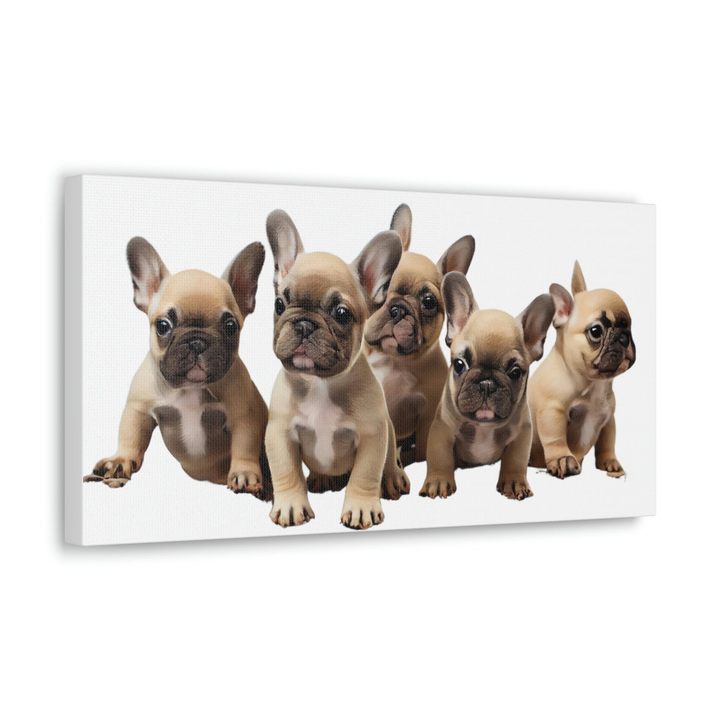 French Bulldog Puppies Canvas, Frenchie, Gift for Dog Lover, Dog People, Dog Mom, New Dog Owner, Pet Lover, Funny Dog Canvas, Dog Dad