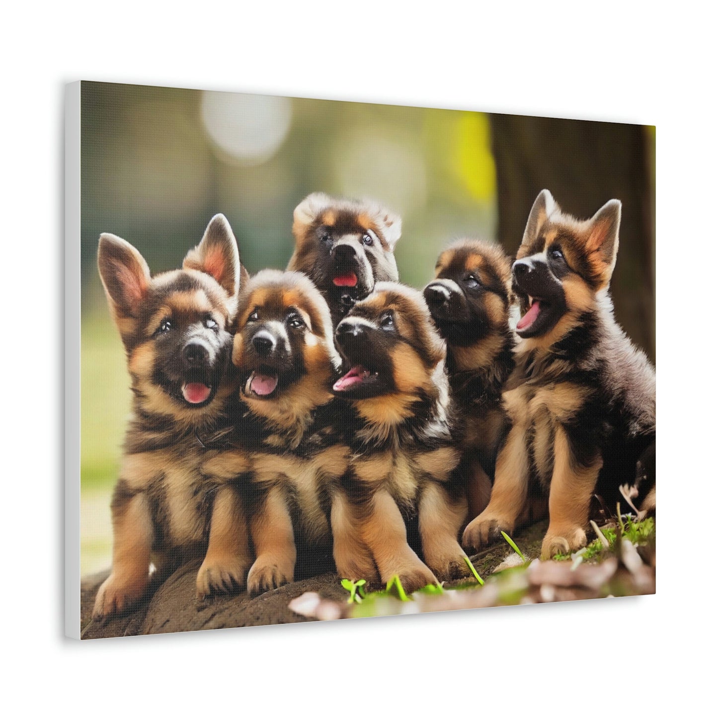 German Shepherd Puppies | In the Park | Canvas Gallery Wraps