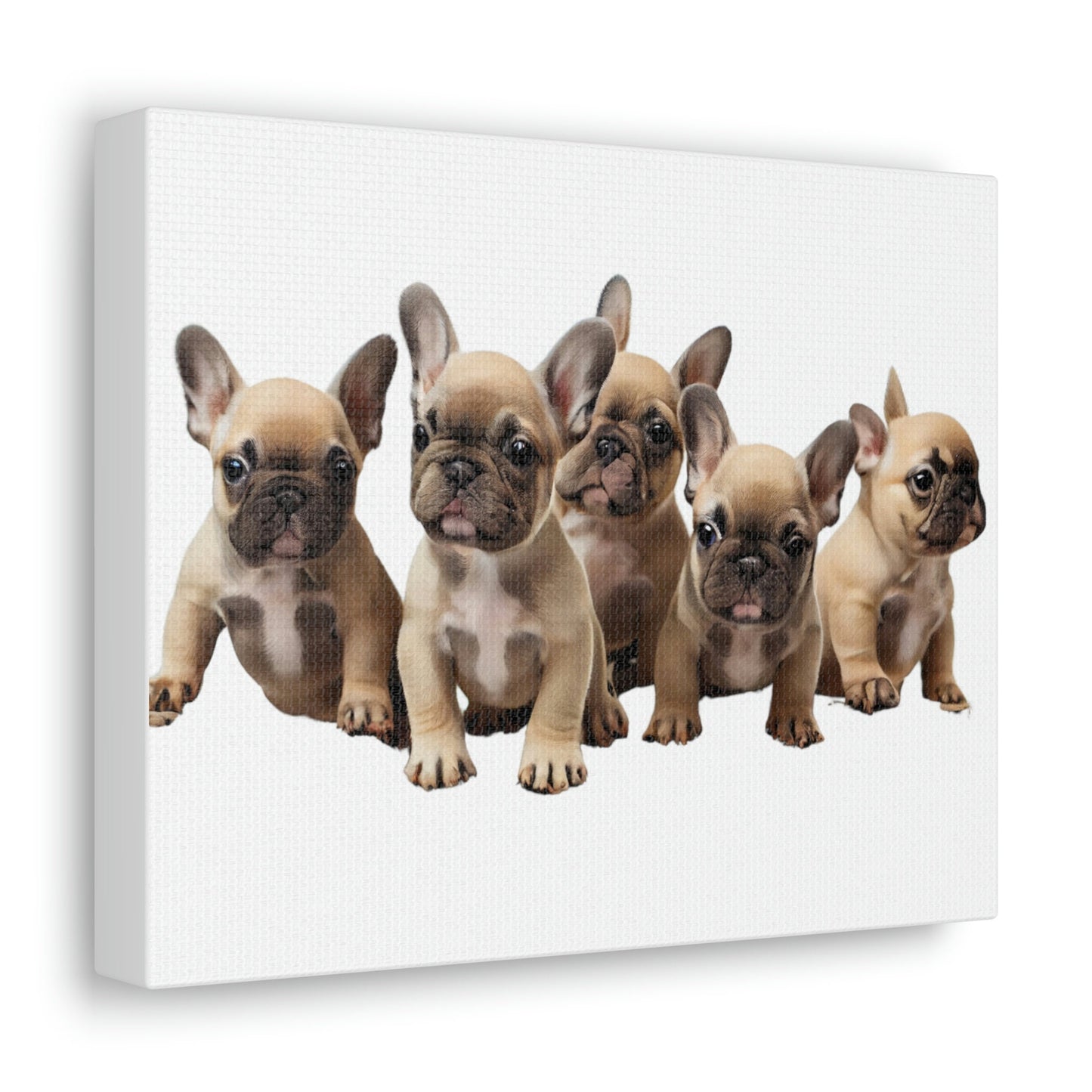 French Bulldog Puppies Canvas, Frenchie, Gift for Dog Lover, Dog People, Dog Mom, New Dog Owner, Pet Lover, Funny Dog Canvas, Dog Dad