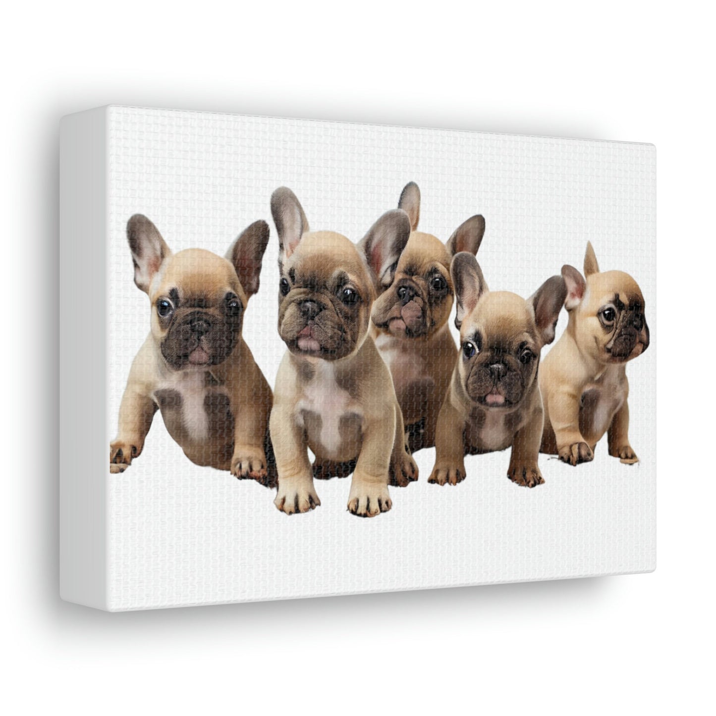 French Bulldog Puppies Canvas, Frenchie, Gift for Dog Lover, Dog People, Dog Mom, New Dog Owner, Pet Lover, Funny Dog Canvas, Dog Dad