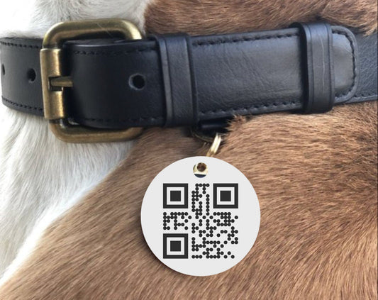 3D Printed Dog Tag with Custom QR Code Simple Strong Durable Plastic Raised QR Code No Service Needed Includes Key Ring to Attach to Collar