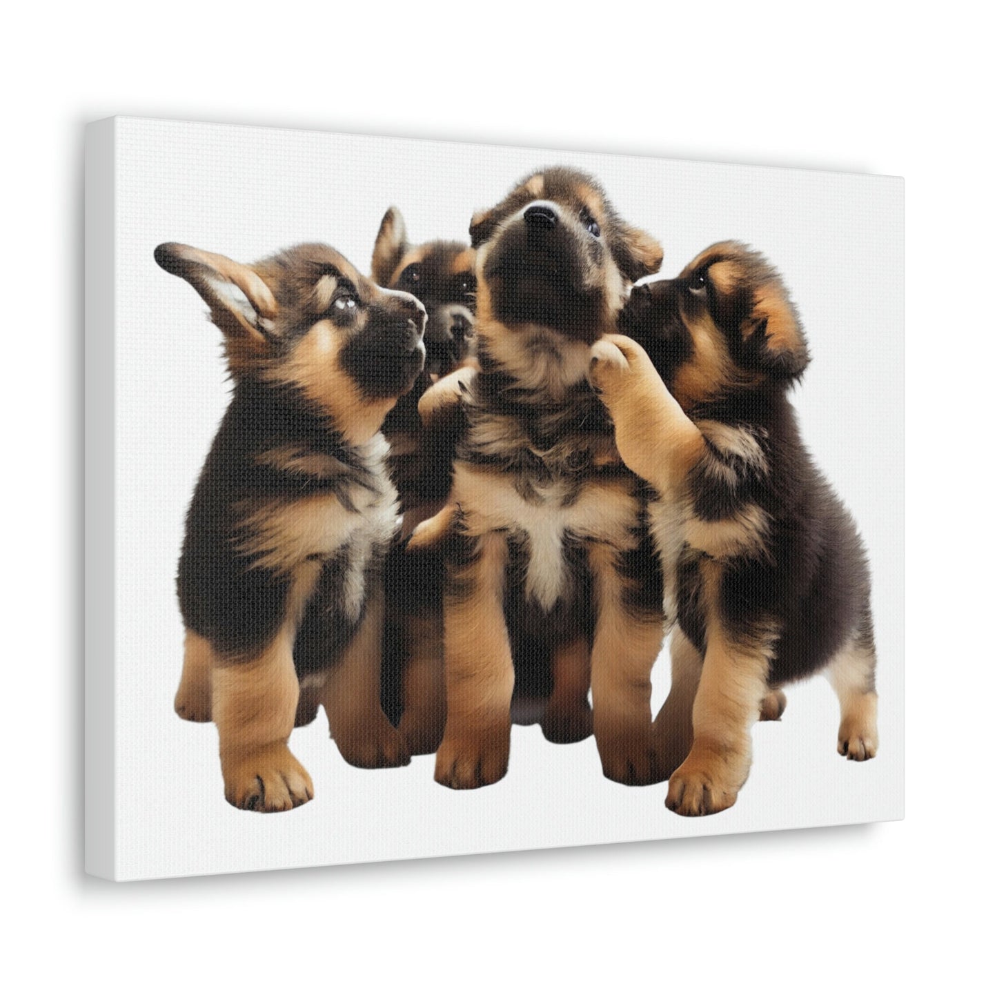 German Shepherd Puppies | Happy and Playing | Canvas Gallery Wraps