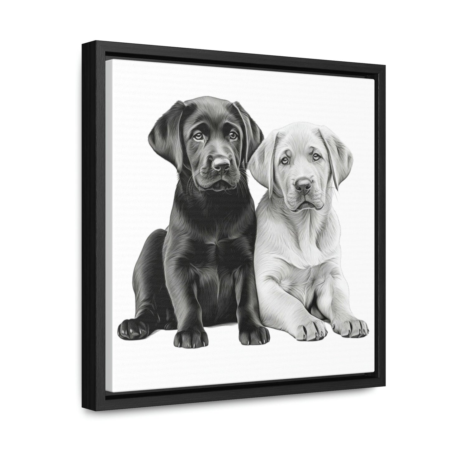 Labradors Black and Yellow Puppies with White Background Framed Canvas