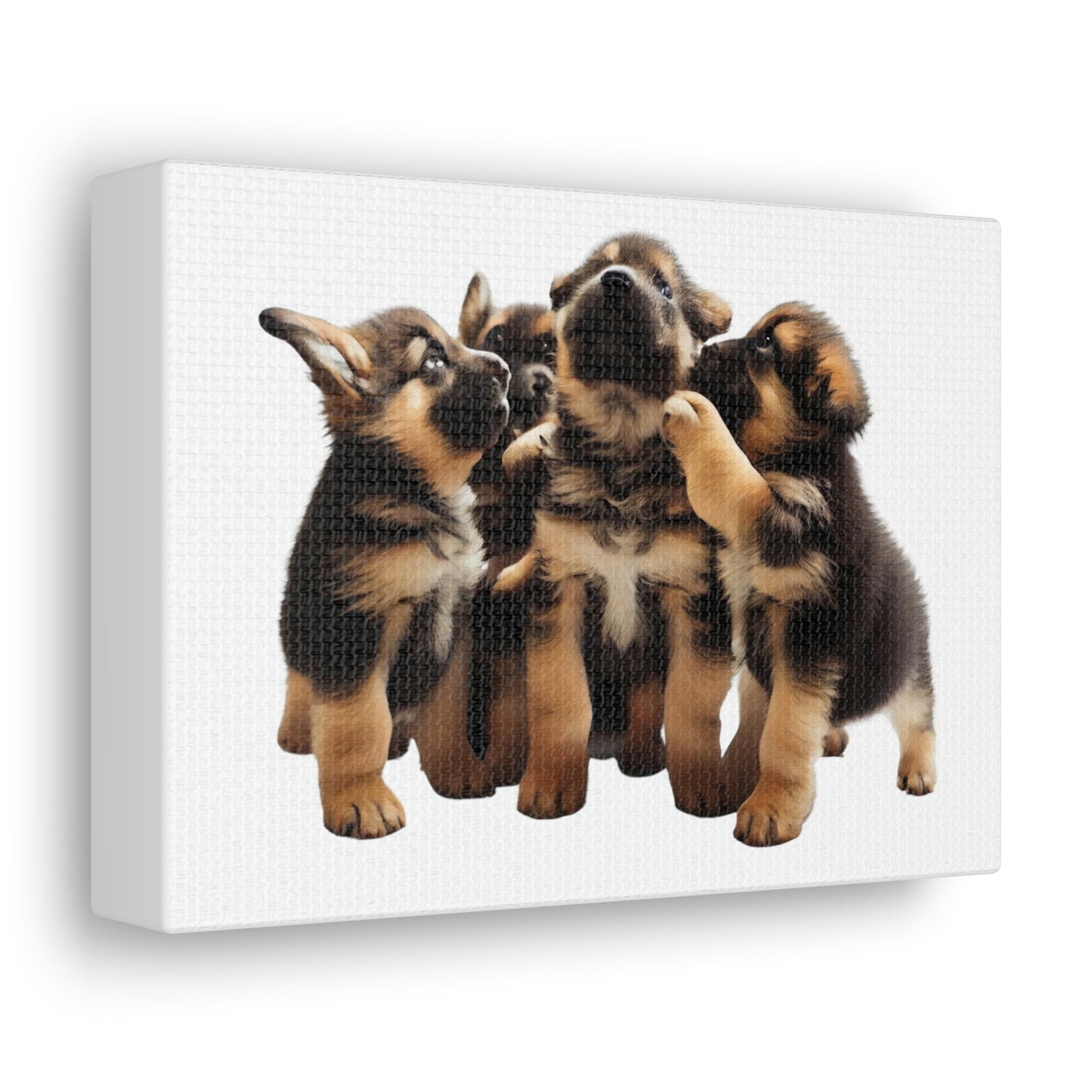 German Shepherd Puppies | Happy and Playing | Canvas Gallery Wraps