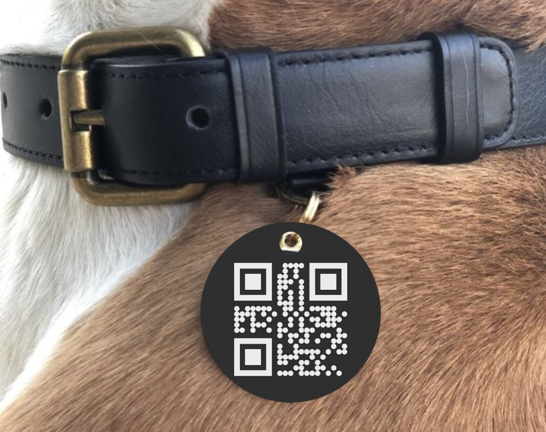 3D Printed Dog Tag with Custom QR Code Simple Strong Durable Plastic Raised QR Code No Service Needed Includes Key Ring to Attach to Collar