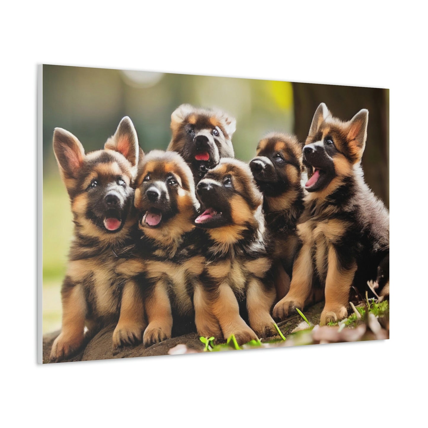 German Shepherd Puppies | In the Park | Canvas Gallery Wraps