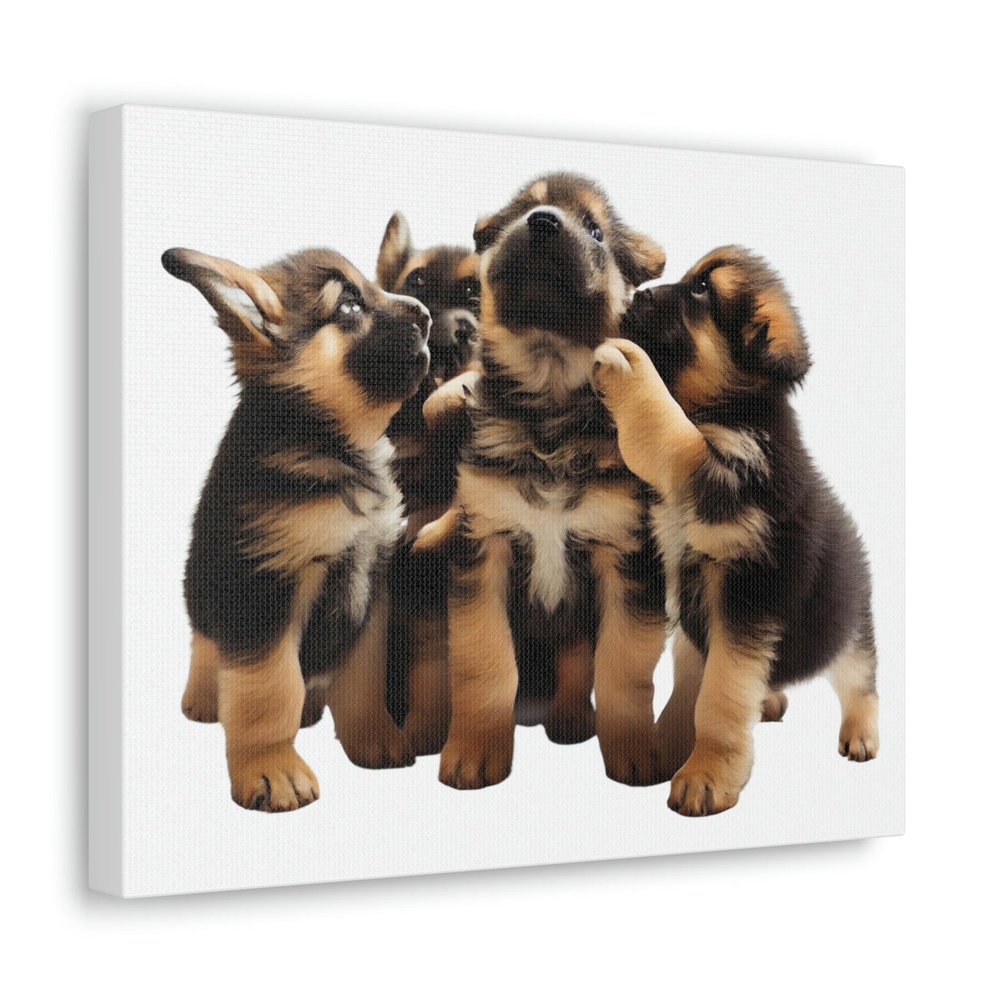 German Shepherd Puppies | Happy and Playing | Canvas Gallery Wraps