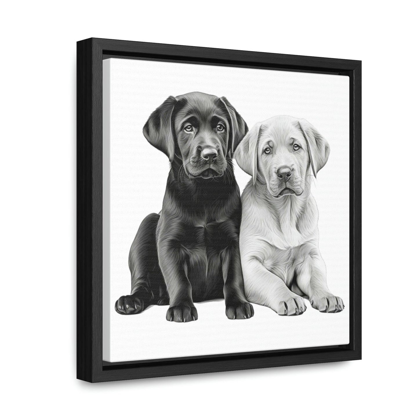 Labradors Black and Yellow Puppies with White Background Framed Canvas