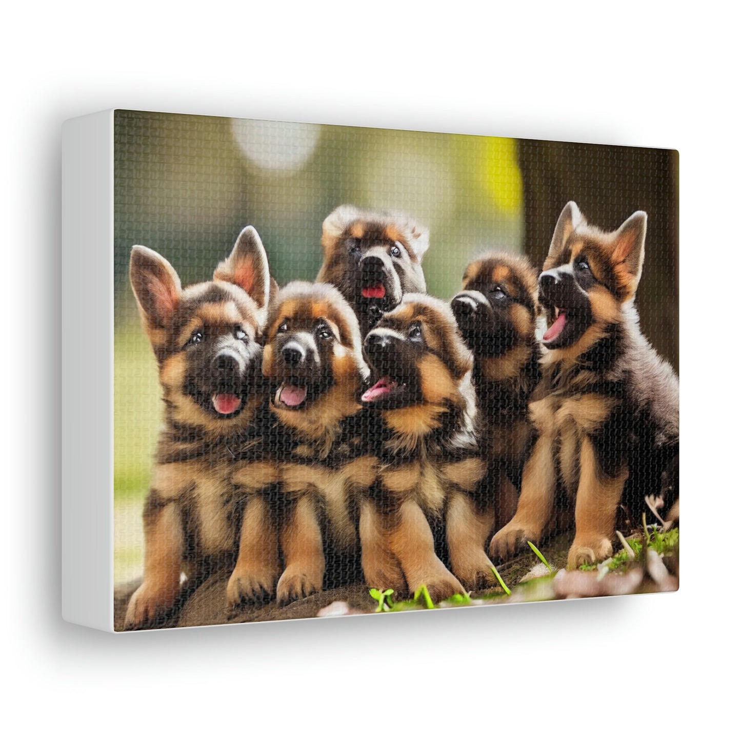 German Shepherd Puppies | In the Park | Canvas Gallery Wraps