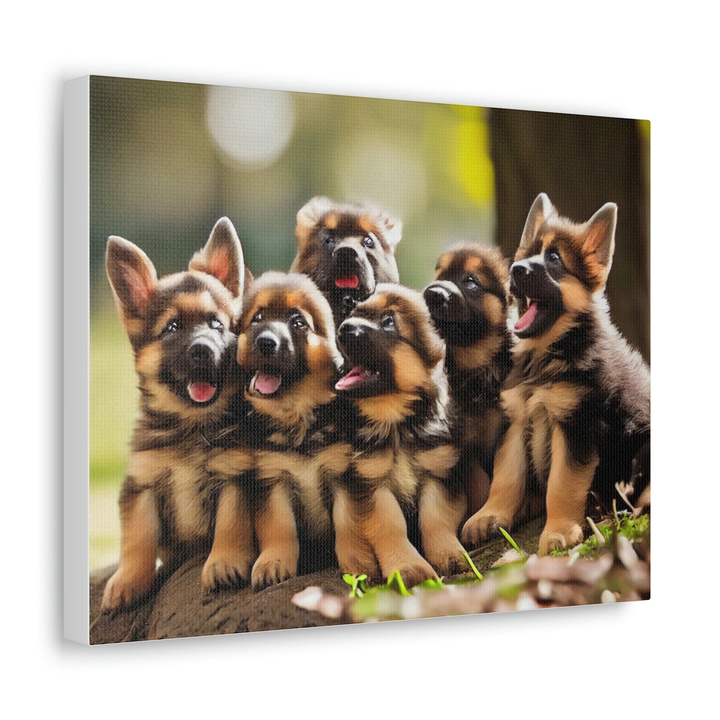 German Shepherd Puppies | In the Park | Canvas Gallery Wraps