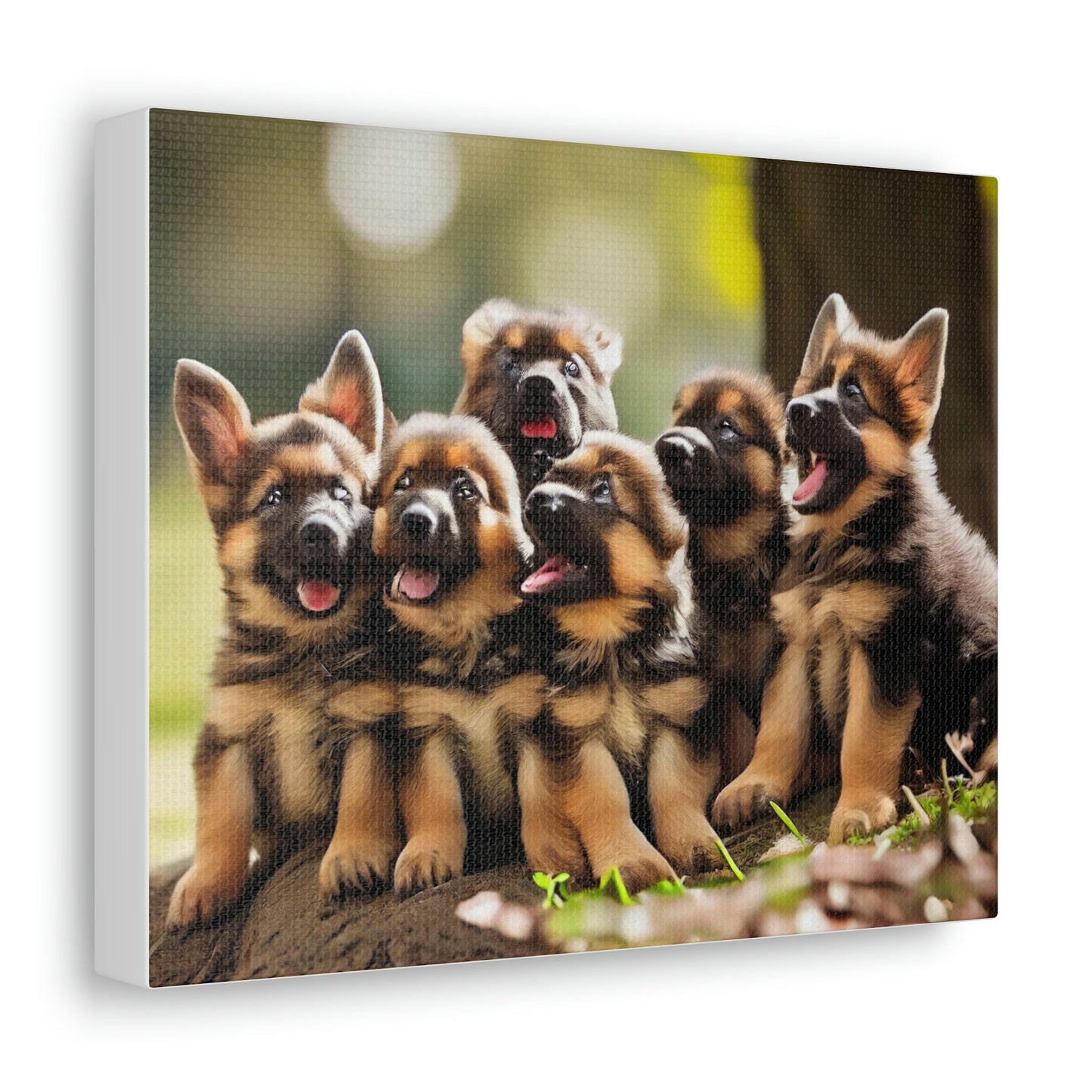 German Shepherd Puppies | In the Park | Canvas Gallery Wraps