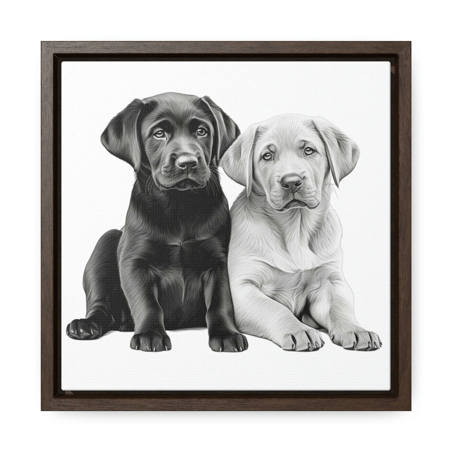 Labradors Black and Yellow Puppies with White Background Framed Canvas