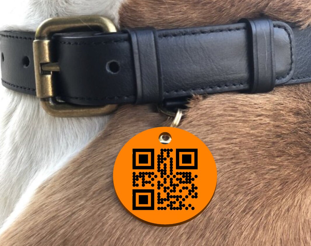 3D Printed Dog Tag with Custom QR Code Simple Strong Durable Plastic Raised QR Code No Service Needed Includes Key Ring to Attach to Collar