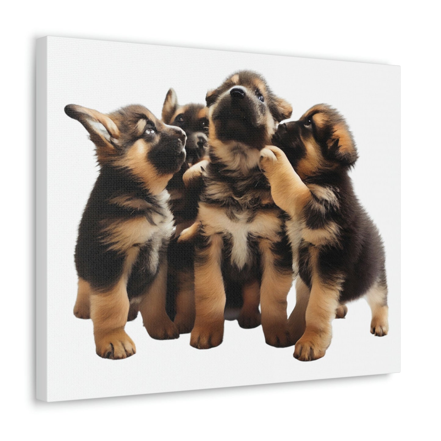 German Shepherd Puppies | Happy and Playing | Canvas Gallery Wraps