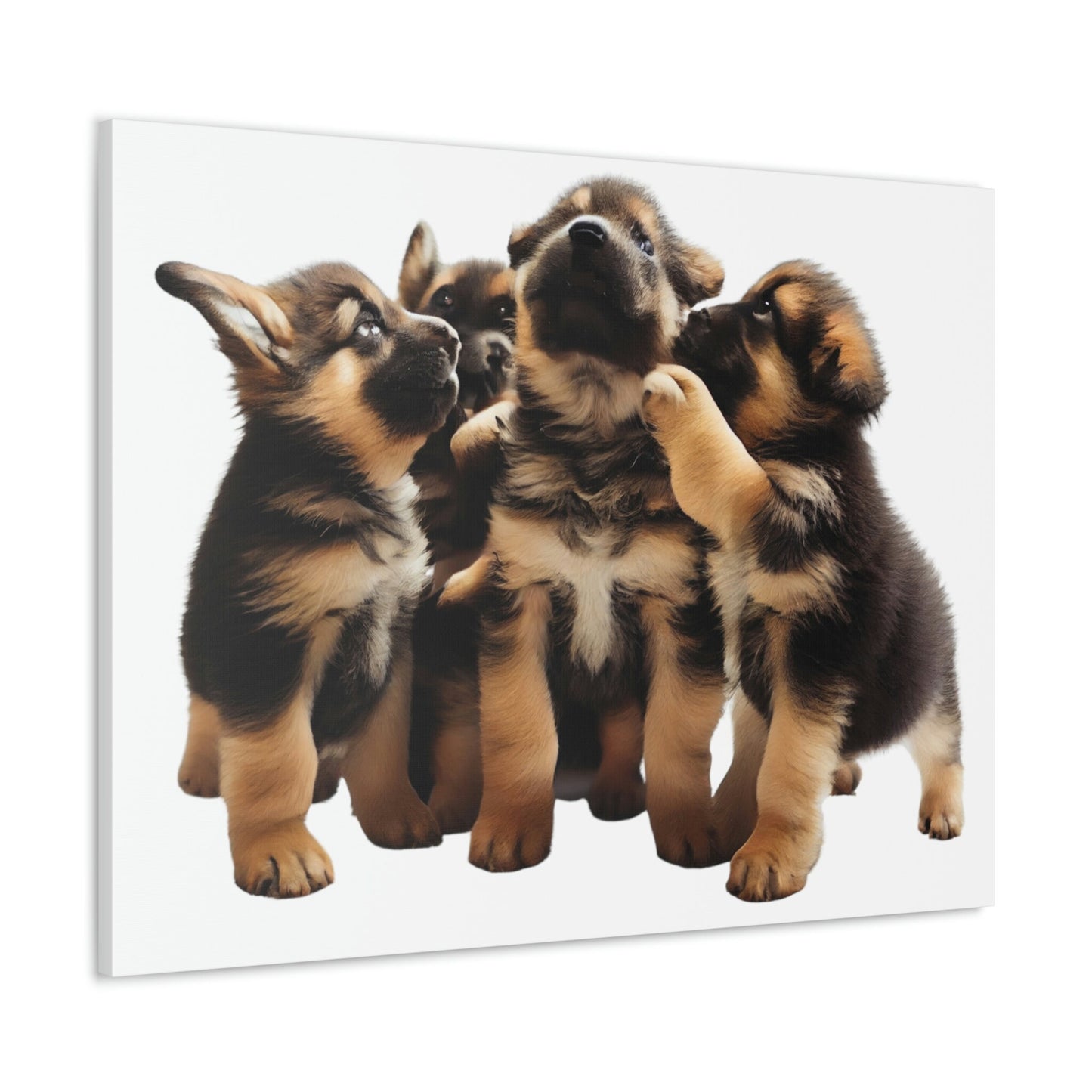 German Shepherd Puppies | Happy and Playing | Canvas Gallery Wraps